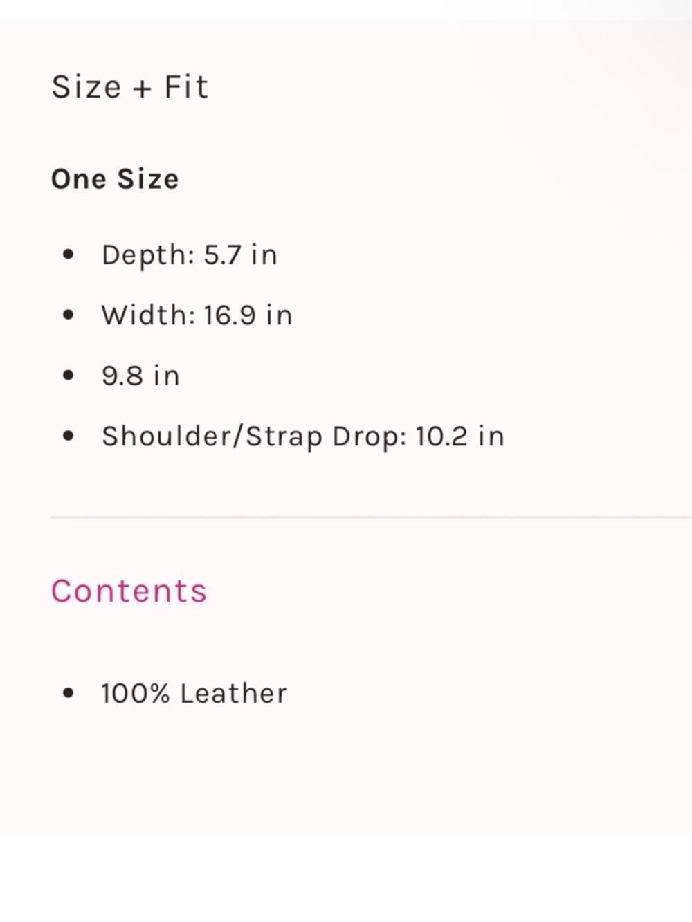 Free People Wild Thing Tote - Picture 10 of 10